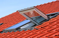 Westhouses roof window